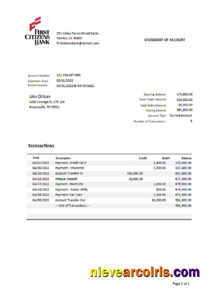 USA Texas First Citizens bank statement Word and PDF.1